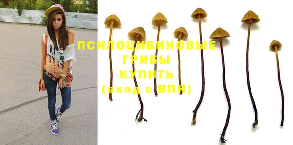 амф Армянск