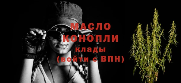 сатива Аркадак