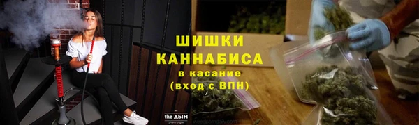 сатива Аркадак