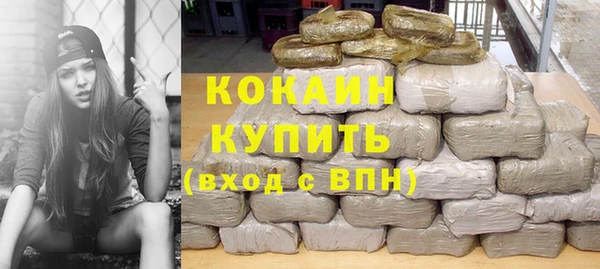 сатива Аркадак
